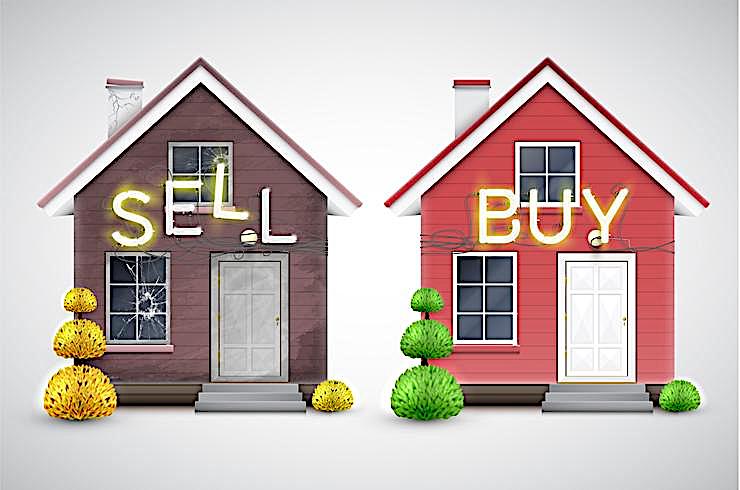 Real Estate Agent
